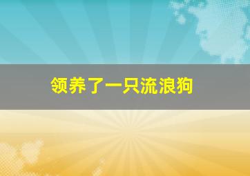 领养了一只流浪狗