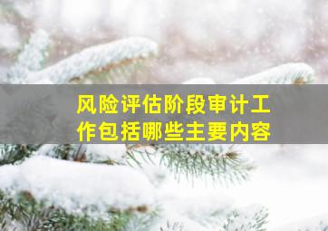 风险评估阶段审计工作包括哪些主要内容