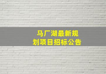 马厂湖最新规划项目招标公告