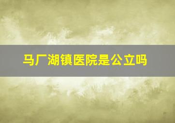 马厂湖镇医院是公立吗