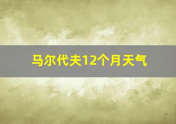 马尔代夫12个月天气