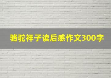 骆驼祥子读后感作文300字