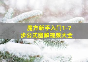 魔方新手入门1-7步公式图解视频大全