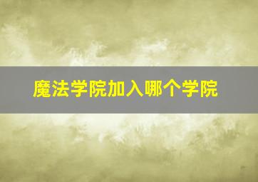 魔法学院加入哪个学院