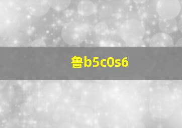 鲁b5c0s6