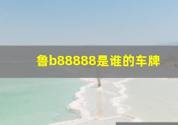 鲁b88888是谁的车牌