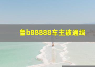 鲁b88888车主被通缉