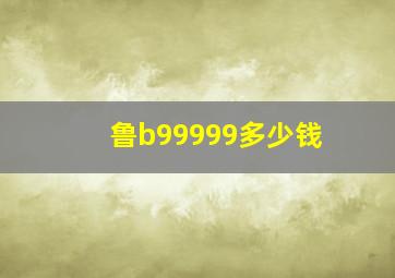 鲁b99999多少钱