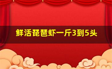 鲜活琵琶虾一斤3到5头