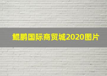 鲲鹏国际商贸城2020图片