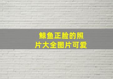 鲸鱼正脸的照片大全图片可爱