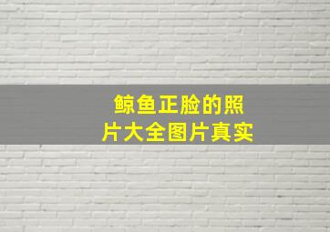 鲸鱼正脸的照片大全图片真实