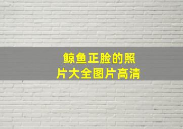 鲸鱼正脸的照片大全图片高清