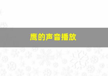 鹰的声音播放