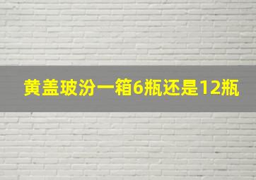 黄盖玻汾一箱6瓶还是12瓶