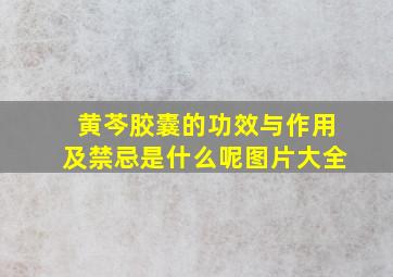 黄芩胶囊的功效与作用及禁忌是什么呢图片大全