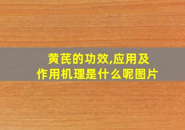 黄芪的功效,应用及作用机理是什么呢图片