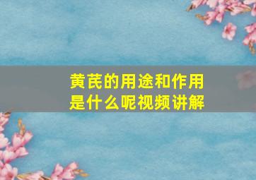 黄芪的用途和作用是什么呢视频讲解