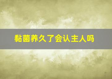 黏菌养久了会认主人吗