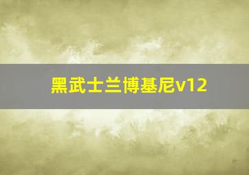 黑武士兰博基尼v12