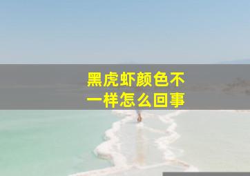 黑虎虾颜色不一样怎么回事