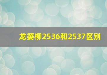 龙婆柳2536和2537区别