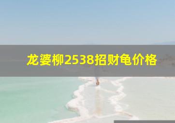 龙婆柳2538招财龟价格