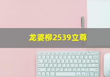 龙婆柳2539立尊