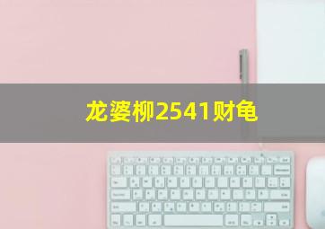 龙婆柳2541财龟