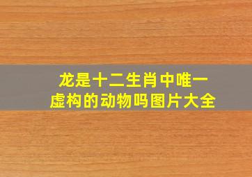 龙是十二生肖中唯一虚构的动物吗图片大全