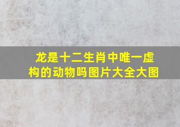 龙是十二生肖中唯一虚构的动物吗图片大全大图