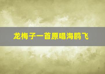 龙梅子一首原唱海鸥飞